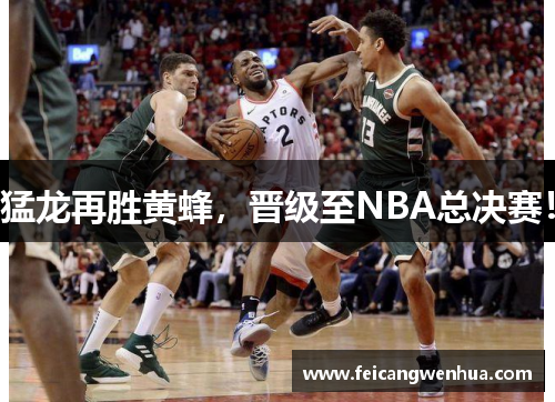 猛龙再胜黄蜂，晋级至NBA总决赛！